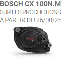 Bosch 100nm
